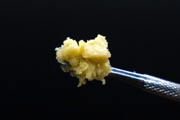 DSC02840 2 DSC02840 2