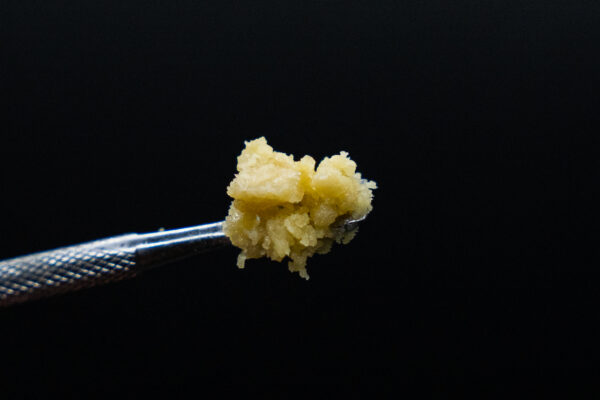 DSC02840 (1) DSC02840 (1)